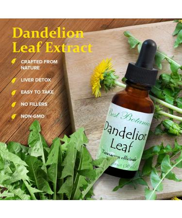Buy Best Botanicals Dandelion Leaf Extract 1 oz - Premium Quality Herbal Supplement for Detox & Digestive Health - International Shipping Available - Buy Online on GoSupps.com