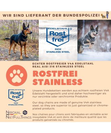 Rustproof Stainless Steel Dog Training Chainstab Collar - 49cm Long 5mm Thick - Durable & Effective Training Solution - Buy Online on GoSupps.com