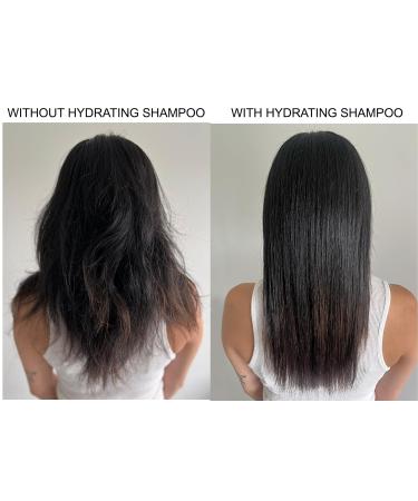 Alcove Hydrating Shampoo 300ML - Nourish & Revitalize Your Hair - International Shipping Available - Buy Online on GoSupps.com