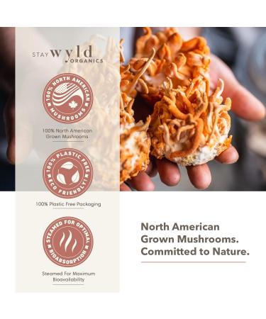Stay Wyld - Organic Cordyceps Mushroom Capsules - Real Mushrooms - Energy Immunity & Vitality Mushroom Supplement - Athletic Performance & Hormone Regulation - 100% Canadian Grown - 60 Capsules Cordyceps - Capsules - Buy Online on GoSupps.com