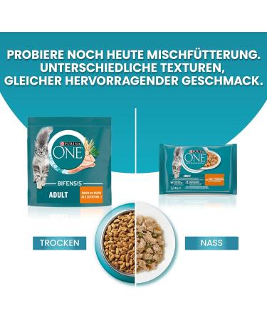 Purina One Bifensis Sterilcat Dry Cat Food - Beef Flavor 6 Pack (6 x 750g) - Ideal for Sterilized Cats - Buy Online on GoSupps.com
