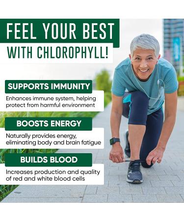 Premium Chlorophyll Liquid Drops 6000mg - Immune Boost, Energy Increase, Digestion Support, Fast Detox - Non-GMO, Vegan - Buy Online on GoSupps.com