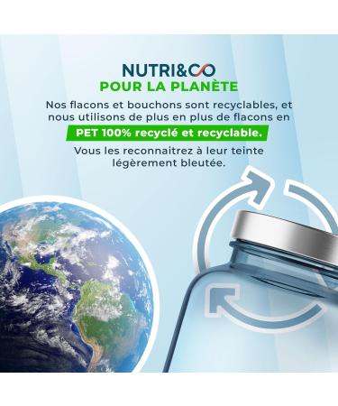 NUTRI & CO Powerful & Natural Green Tea + Citrus Fat Burner - Fast & Effective Weight Loss - Slimming & Flat Stomach - 1 Month Cure - 60 Vegan Capsules Made in France - Buy Online on GoSupps.com