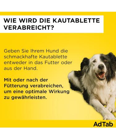Effective Tick & Flea Protection for Dogs (5.5 - 11 kg) | Fast-Acting Chewing Tablets - 3 Pack - Buy Online on GoSupps.com
