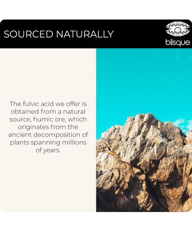 Blisque Natural Trace Mineral Drops with Fulvic & Humic Acid - Detox, Immune Support, Brain Booster - 4oz - Buy Online on GoSupps.com