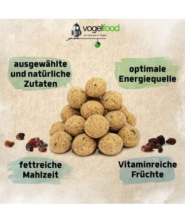Buy 100 x 90g Fruit Fat Balls - 9kg Net-Free for International Shipping | Premium Bird Feed - Buy Online on GoSupps.com