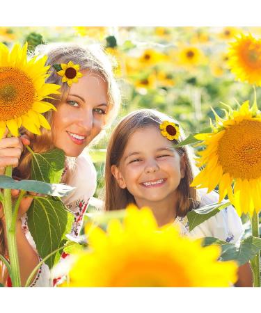 Whaline Sunflower Hair Alligator Clips - 4Pcs Yellow Flower Barrettes for Toddlers Girls - Cute Hair Accessories for Spring Summer Events - Buy Online on GoSupps.com