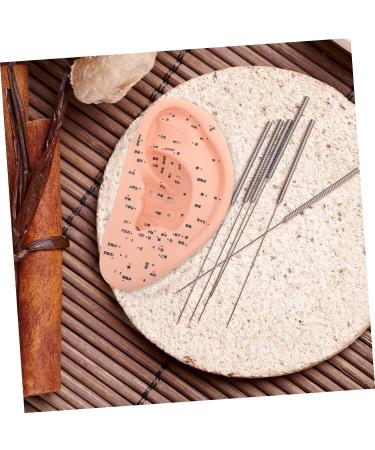 ULTECHNOVO Adult Ear Massage Model for Reflexology Demonstration with Base - Acupoint Learning & Display Model - Buy Online on GoSupps.com