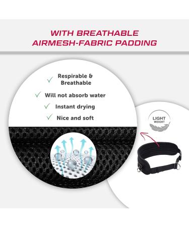 LASALINE Canicross Dog Trekking Belt Black - Buy Online on GoSupps.com