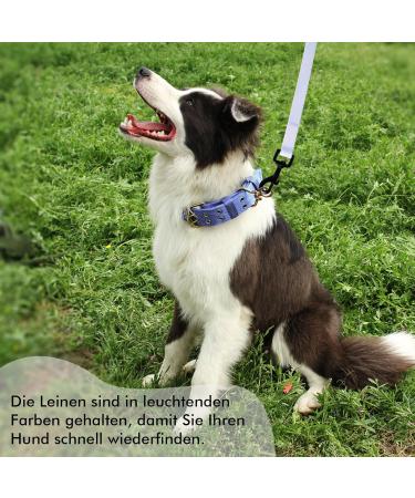 High-Quality Light Blue Tag Trag Leash for Dogs - 5m Waterproof Training Line with Handle & D-Ring for Small to Medium Dogs - Buy Online on GoSupps.com