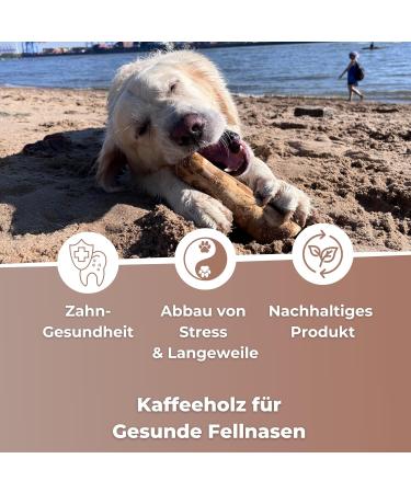 Zoys Coffee Wood Natural Chewing Bones for Dogs - Size L (15-25kg) | Caustab Dental Care & Sustainable Employment | Long-Lasting Dog Accessories - 1 Piece - Buy Online on GoSupps.com