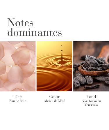 Elizabeth Arden White Tea Eau de Parfum Perfume for Women 3.4 Fl Oz (Pack of 1) Rose - Buy Online on GoSupps.com