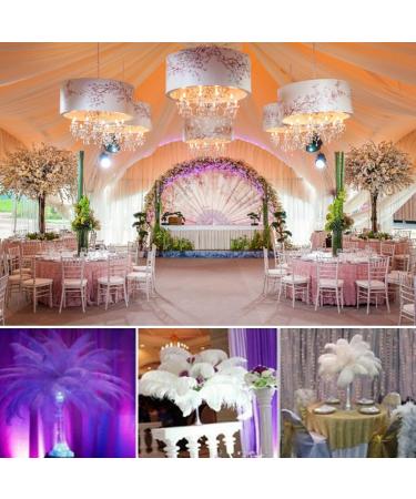 OstrichFeather Wedding Decor | Natural OstrichPlumes | Feather Accessories for Clothing Wedding Feather Centerpieces OstrichFeather Bouquet Bulk Ostrichfeathers - Buy Online on GoSupps.com