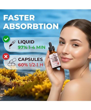 Irish Sea Moss Liquid Drops - with Black Elderberry, Burdock Root & Black Cumin - Liquid Supplement - Elderberry Flavor - 2 Fl Oz (60ml) - Buy Online on GoSupps.com