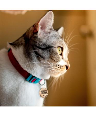 Buy MyLuckytag Stainless Steel QR Code Pet ID for Cats - Instant Location Alerts & Online Profiles in Red & Gold - Buy Online on GoSupps.com