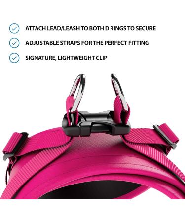 BullyBillows Boomerang Harness | Lightweight & Non-Restrictive Dog Harness | Easy Slip On & Off Design | Premium Quality with Velcro Strap | Carminerose M Medium - Buy Online on GoSupps.com