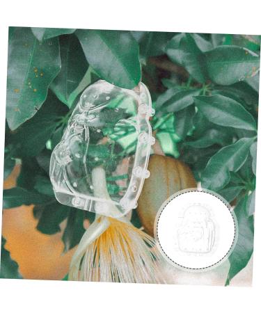 Yardwe 2pcs Fruit Shaping Mold Vegetable Mould Tool Pumpkin Molds for Garden Fruits Mold Stereotypes Melon - Buy Online on GoSupps.com