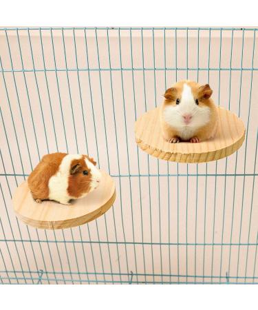 4 Pcs Hamster Wooden Platform L-shaped Large Platform Natural Wooden Parrot Round Standing Board Rat Activity Chinchilla Bird Cage Accessories for Squirrel Gerbil Chinchilla Dwarf Hamster (L) - Buy Online on GoSupps.com