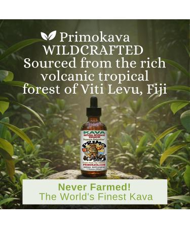 PRIMO KAVA Kava Drops | Water Soluble Kava Extract | Concentrated Tincture Beverage Enhancer | Authentic Kava Kava from Fiji | 40mg Kavalactones | Certified 3rd Party Testing | 1oz - Buy Online on GoSupps.com