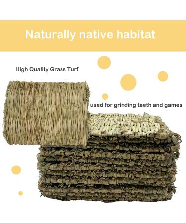 Handwoven Grass Nesting Box Pads for Chickens and Small Animals - Set of 6 Natural Straw Mats - Buy Online on GoSupps.com