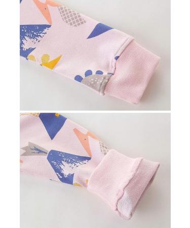 Girls Cotton Dinosaur Sweatshirt | Long Sleeve Pullover for Kids 2-3 Years | Toddler Casual Jumper T-Shirt | Age 1-12 Years - Buy Online on GoSupps.com