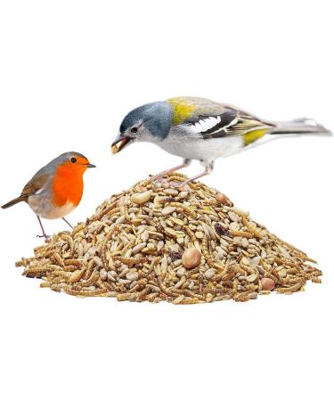 Paul's M hle Deluxe Wild Bird Food 10 kg - Premium Bird Feed for Wild Birds - Buy Online on GoSupps.com