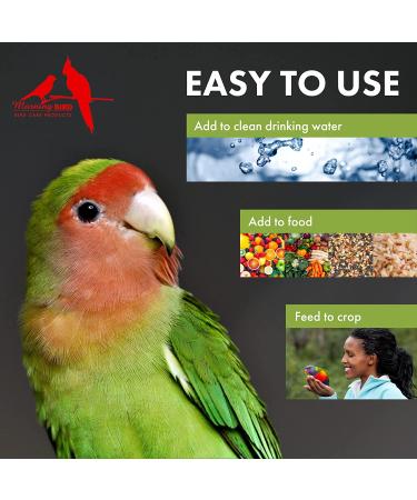 Morning Bird Calcium Plus Supplement 4 Fl Oz - Liquid Formula with Magnesium and Vitamin D3 for Avian Health - Buy Online on GoSupps.com