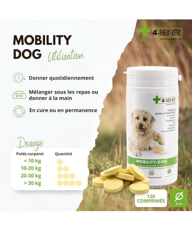 4-BEINER Mobility-DOG 120 tablets for dog joints devil's claw MSM chondroitin glucosamine hyaluron frankincense extract bromelain green-lipped mussels vitamin B etc. - Buy Online on GoSupps.com