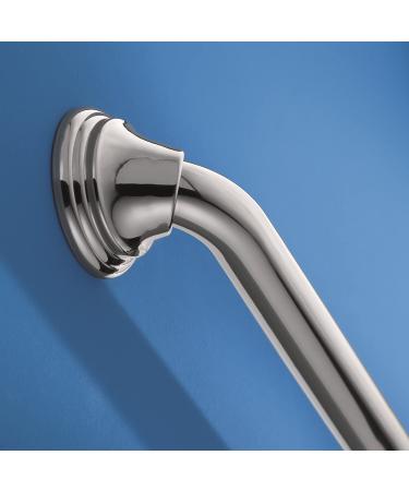 Moen R8716W Home Care 16-Inch Concealed Screw Bath Safety Bathroom Grab Bar  Glacier - Buy Online on GoSupps.com