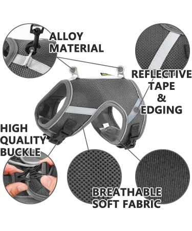 Premium Cat Dishes with Leash - Outbreak-Proof Set with Reflective Harness for Kittens - Gray Small - Buy Online on GoSupps.com