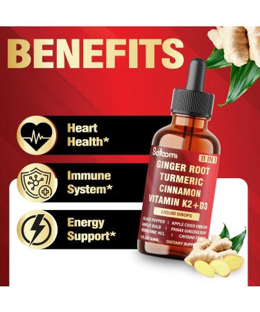 11in1 Ginger Root Liquid for Support Immune & Digestion with Vitamin D3 K2 Turmeric Ceylon Cinnamon Black Pepper Berberine Garlic & More 1 FL Oz - 30 Servings Herbal Extract Drops - Buy Online on GoSupps.com