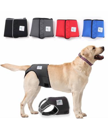 Nature PET - Funeral pants for bitches 2.0 Without the annoying threading of the rod - dog diapers for male - incontinence dog shot - cuddly soft and hygienic (XS -L 2) Black XS/L (1 Pack) - Buy Online on GoSupps.com