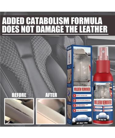KOAHDE Car Interior Mould Cleaning Spray Automotive Interior Mold Cleaner Automotive Mold Cleaner Spray Revolutionary Mould Remover Spray Mold and Mildew Remover Gel Automobile Mold Remover Spray - Buy Online on GoSupps.com