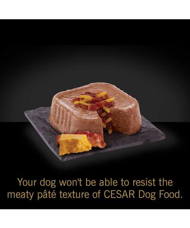 Cesar Savory Delights Chicken Wet Dog Food Loaf & Topper in Sauce - Pack of 24 - Buy Online on GoSupps.com
