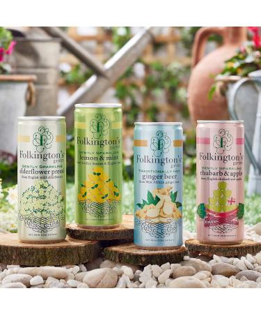 Folkington's Rhubarb & Apple Press 12-Pack Sparkling Soft Drink - Ideal Cocktail & Gin Mixer | 12 x 250ml - Buy Online on GoSupps.com