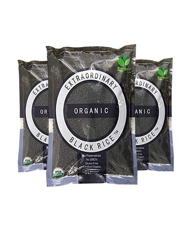 Big Green Organic Extraordinary Black Rice - Gluten-Free, Non-GMO, Vegan, Kosher - Buy Online on GoSupps.com