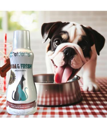 Petdentist Natural Mint GUM & FRESH Dental Water Additive Mouthwash- Oral Dental Care for Dogs & Cats Easy Plaque Off Teeth Cleaning Fresh Breath and Gum Health 500ml Bottle with Measure cap - Buy Online on GoSupps.com