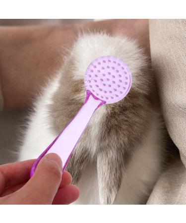 Minkissy 4-Piece Small Pet Bathing Brush Set | Hamster Guinea Pig & Small Animal Grooming Care Tools - Buy Online on GoSupps.com
