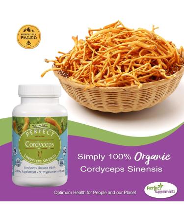 Organic Perfect Cordyceps - 90 Vegetable Capsules | Energy, Endurance & Strength Booster - Buy Online on GoSupps.com