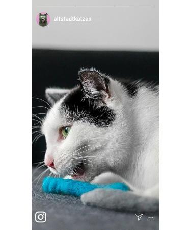 10 Hand-Rolled Felt Cat Toys - Sustainable 100% New Wool Made in Germany - Buy Online on GoSupps.com