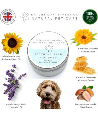 NATURE'S INTERVENTION 100% Natural SOOTHING BALM Dogs - Calendula & Lavender - 50 g by NIP. Moisturizes Soothes Relieves Itching. Beneficial for Dry and Sensitive Skin. - Buy Online on GoSupps.com