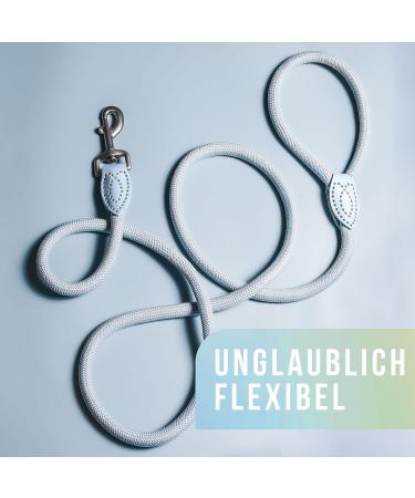 High-Quality 1.7m No Tangle Dog Training Leash - Aqua Braided Rope with Hand Loop - Buy Online on GoSupps.com