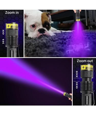 Darkbeam UV Flashlight 395nm - Portable Black Light Detector for Pet Stains & Dog Urine | Mini LED Flashlight | 1 Pack - Buy Online on GoSupps.com