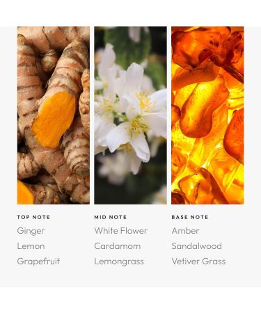 Aroma360 Pro Pod - Fragrance Oil Inspired by Astrology - Scent Includes Ginger, White Flower & Amber - Aquarius, 50mL/1.7 fl oz - Buy Online on GoSupps.com