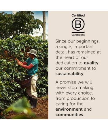 Illy - 100% Arabica Instant Coffee - 100g - Buy Online on GoSupps.com