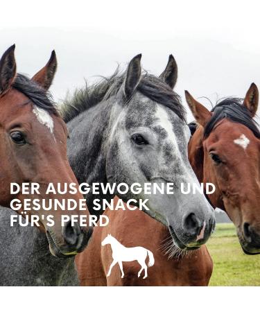 Buy Lax Meadow 4 Crispy Sticks for Horses | Healthy Hay & Lucerne Snacks | Supplementary Feed | Melace-Free | 3.25 kg - Buy Online on GoSupps.com