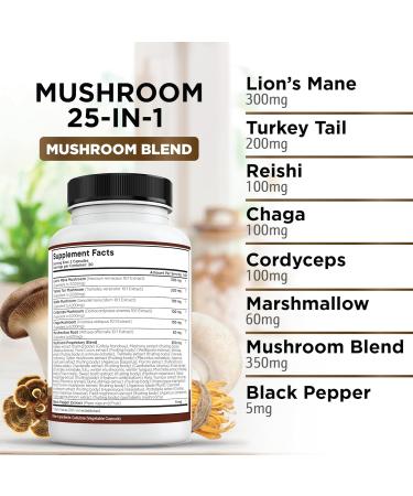 Lions Mane Mushroom Supplement with Turkey Tail Reishi Cordyceps Chaga with Marshmallow Root - 3-Pack 180 Capsules (Pack of 3) - Buy Online on GoSupps.com