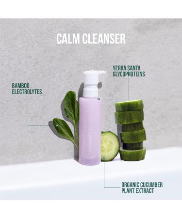 FITGLOW Beauty Natural Calm Cleanser | Vegan Woman-Owned Clean Beauty | International Shipping Available (4 fl oz | 120 ml - Buy Online on GoSupps.com