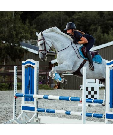 HORZE Horse Bridle Sion - English Noseband Bridle & Reins in Extra Warmblood Brown (XF) - International Shipping Available - Buy Online on GoSupps.com