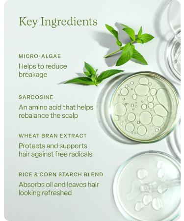 Divi Dry Shampoo Spray for Women - Oil Absorbing Scalp Balancing Formula Talc-Free 5.3oz - Extend Time Between Washes - Buy Online on GoSupps.com